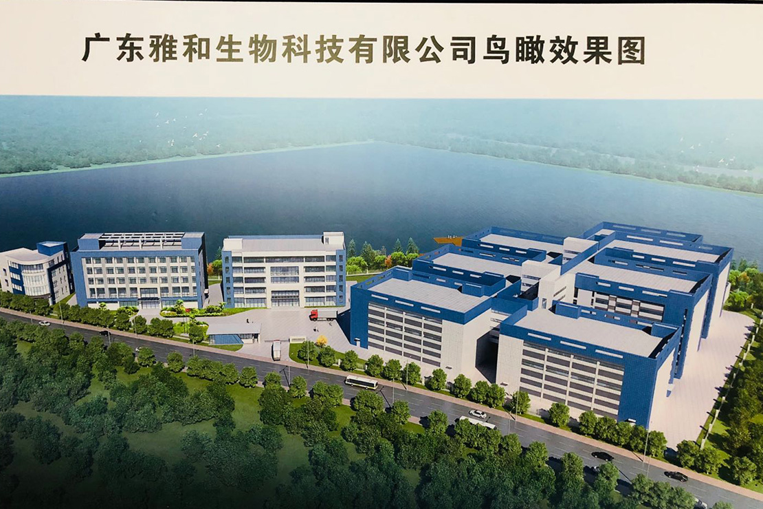 Liliang Factory